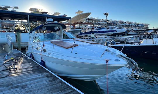 32' Sea Ray Luxury Boat in Miami Beach