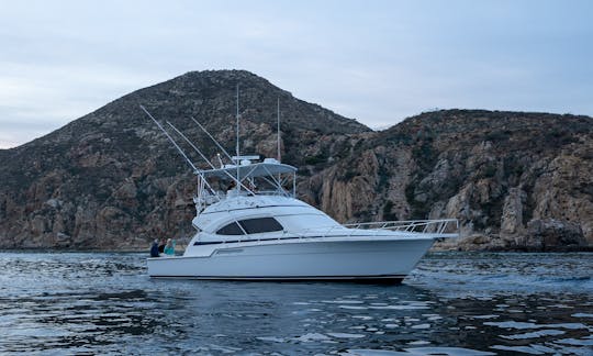 Tour de pesca deportiva Bertram Charters de 48 pies, medio día y 5 horas