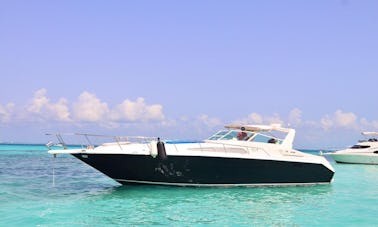 Yacht privé de luxe Sea Ray 46 ft Cancun