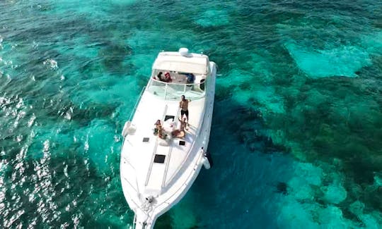 Luxury Private yacht Sea Ray 46 ft Cancun