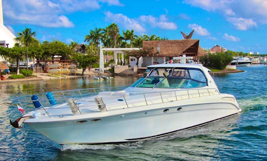 Private luxury yacht 60ft Sea Ray Sundancer! The best boat in Cancun!