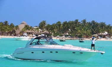 Yacht privé SeaRay 46ft Cancun, Quintana Roo