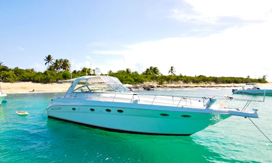 4 Hours - Sea Ray 46' Yacht Charter Icacos or Palomino