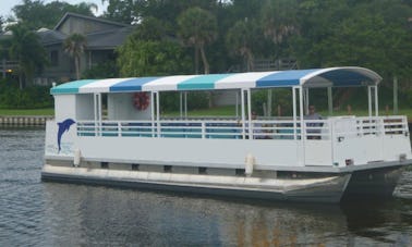 Crucero turístico con delfines y manatíes en Melbourne/Cocoa Beach