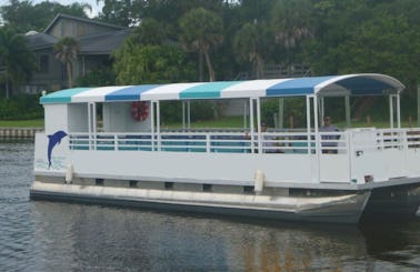 Dolphin & Manatee Sightseeing Cruise in Melbourne/Cocoa Beach