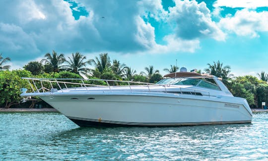 Luxury Motor Yacht for Daily Charter in Miami