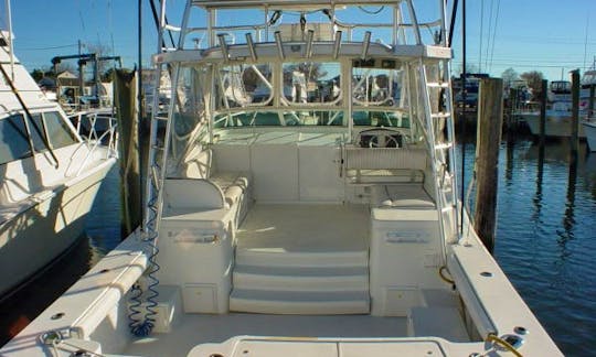 Luhrs 36 Open Sportfishing Boat for Charter in Freeport, Texas