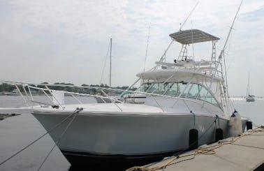 Luhrs 36 Open Sportfishing Boat for Charter in Freeport, Texas