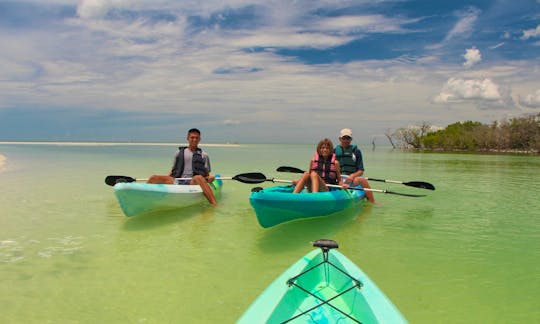 Clear Kayak and Paddleboard rentals! Guided Eco Tours for the whole family!!