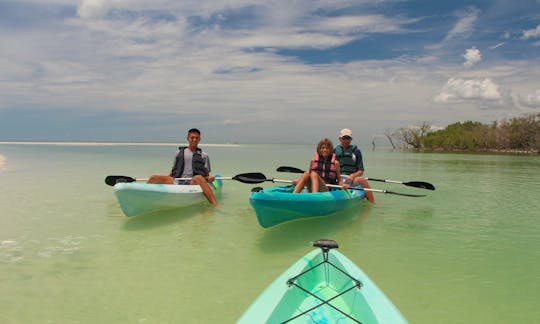 Clear Kayak and Paddleboard rentals! Guided Eco Tours for the whole family!!