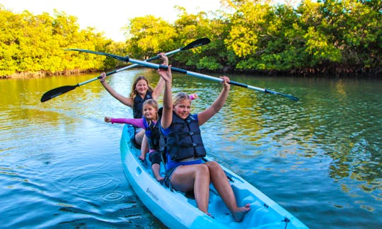 Clear Kayak and Paddleboard rentals! Guided Eco Tours for the whole family!!