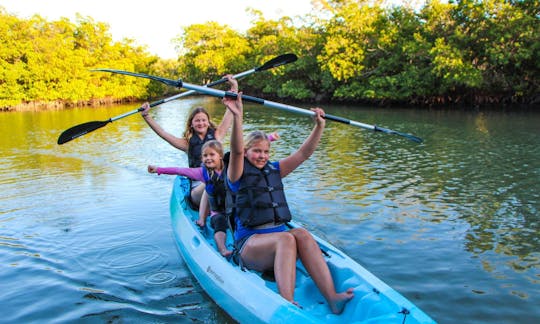 Clear Kayak and Paddleboard rentals! Guided Eco Tours for the whole family!!