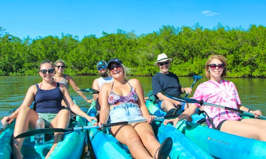 Daily Kayak and Paddleboard rentals! Guided Eco Tours also available for the whole family!!