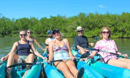 Clear Kayak and Paddleboard rentals! Guided Eco Tours for the whole family!!