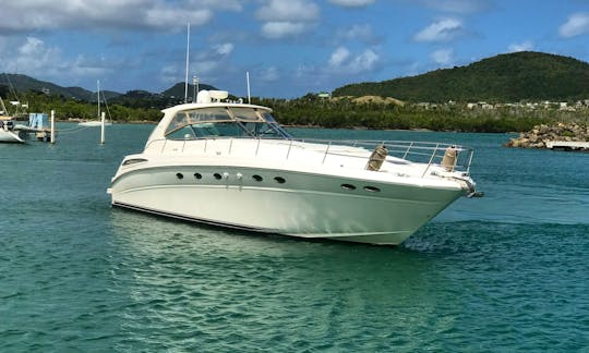 Awesome Sea Ray Sundancer 51’ Yacht for Charter