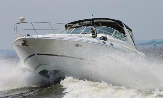 43ft Cruiser Express Yacht for Daily Charter on Chesapeake Bay, Annapolis, Rhodes River or South River