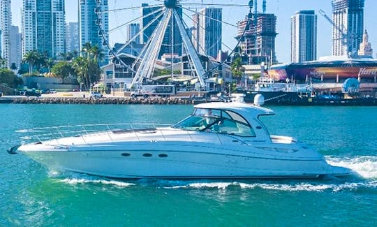 ''Prosperity'' Sea Ray Sundancer Motor Yacht Rental in Miami, Florida