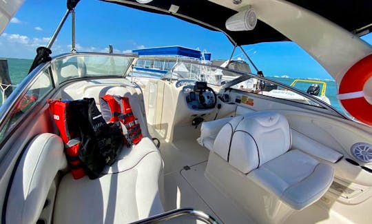 Amazing New Boat Holds 8 in Cancun And Isla Mujeres