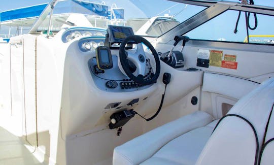 Amazing New Boat Holds 8 in Cancun And Isla Mujeres