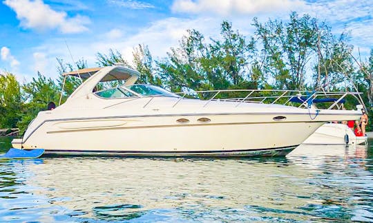 Maxum 42' Enjoy 1 Free Hour in Miami Beach