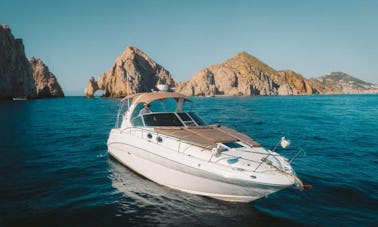 Luxury Sea Ray Motor Yacht Charter in Cabo San Lucas, Mexico