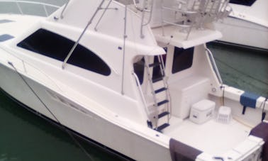 Motor Yacht for Snorkeling and Boat Trip Charters in Montego Bay