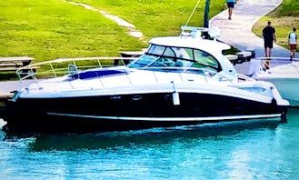 45' Sea Ray Sundancer Motor Yacht Rental in Miami, Florida