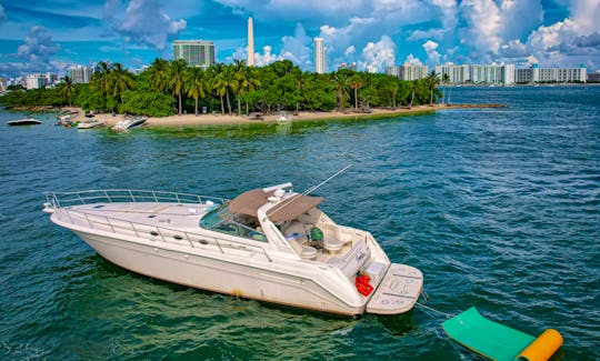 🎉 ASK FOR THE FREE HOUR🎉  ||  🔥 Sea Ray Sundancer 50FT