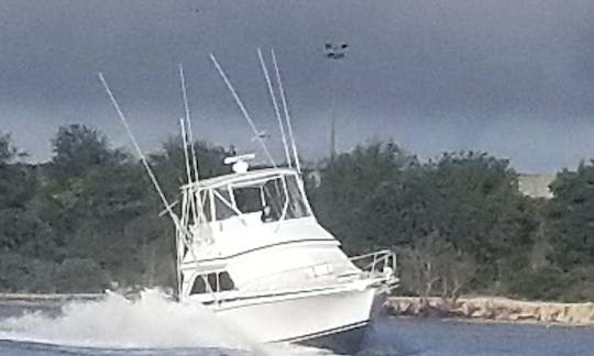 Fish On! Alugue seu Dawson Sportfish de 38 pés em Norfolk, VA