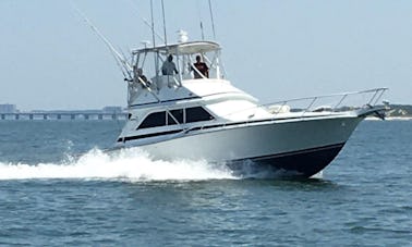 Fish On! Alugue seu Dawson Sportfish de 38 pés em Norfolk, VA