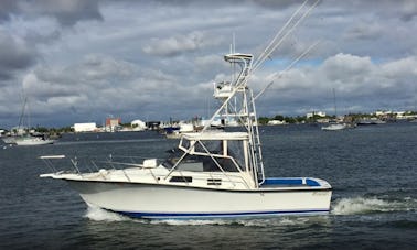 Charter de pêche sportive de 31 pieds à West Palm Beach, en Floride !