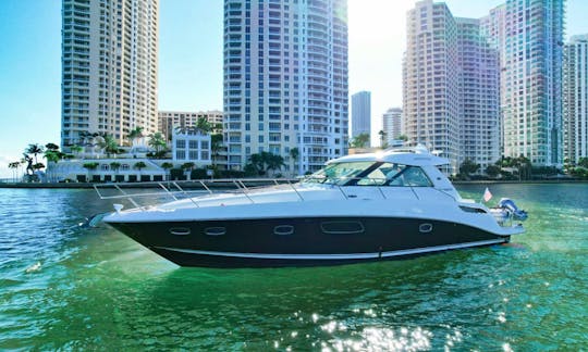 Beautiful SeaRay Motor Yacht in Miami