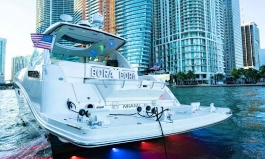 Beautiful SeaRay Motor Yacht in Miami