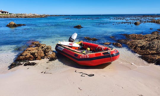 5m Gemini Inflatable Rubber Duck Rental in Strand, Western Cape