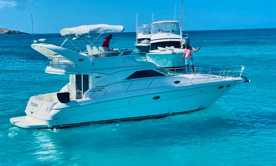 Searay 40' Luxury Yacht in Fajardo