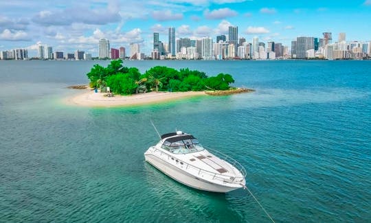 Cruiser Yacht 44ft Available for up to 12 peoples in Miami