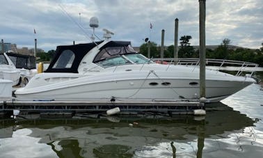 Get ready for the time of your life aboard 41' Sea Ray