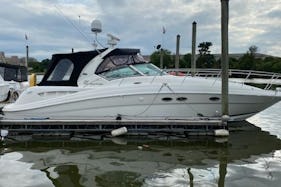 Get ready for the time of your life aboard 41" Sea Ray