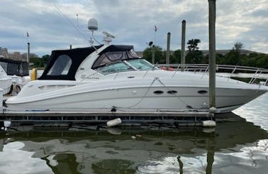Get ready for the time of your life aboard 41" Sea Ray