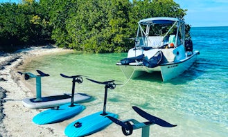 Sandbar and Snorkel EcoTours with Optional eFoil Lessons!