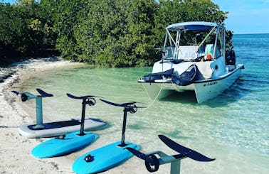 Sandbar and Snorkel EcoTours with Optional eFoil Lessons!