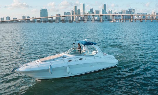 💥 Meilleure location de yacht à moteur Sea Ray de 37 pieds à Miami pour un maximum de 12 personnes