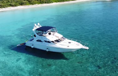 Beautiful and Spacious Flybridge Yacht 47ft in Tulum & Playa all inclusive)