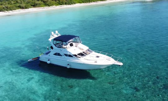 Beautiful and Spacious Flybridge Yacht 47ft in Tulum & Playa all inclusive)