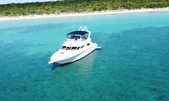 Beau et spacieux yacht Flybridge de 47 pieds à Tulum et Playa (tout compris)