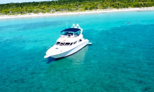 Beautiful and Spacious Flybridge Yacht 47ft for Charter in Tulum