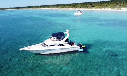 Beau et spacieux yacht Flybridge de 47 pieds à Tulum et Playa (tout compris)