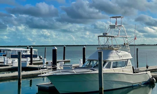 42' Rodman Sport Fishing Yacht for Charter in Miami Beach