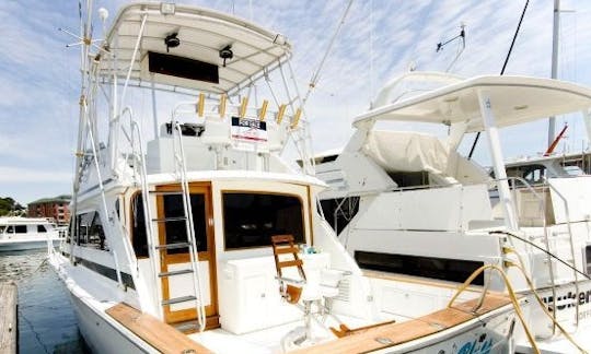 38' Dawson Sportfish Motor Yacht Charter in Norfolk, Virginia