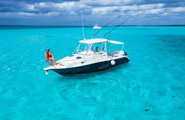 Century 34 Center Console for fishing, or visiting El Cielo Cozumel